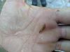 IMG-20190921-WA0003.jpg
